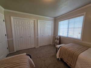 Bedroom with two closets, ornamental molding, carpet flooring, and a textured ceiling