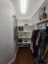 Spacious closet with dark wood-style floors