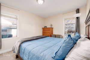 Carpeted bedroom featuring multiple windows