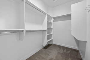 Spacious closet with dark colored carpet