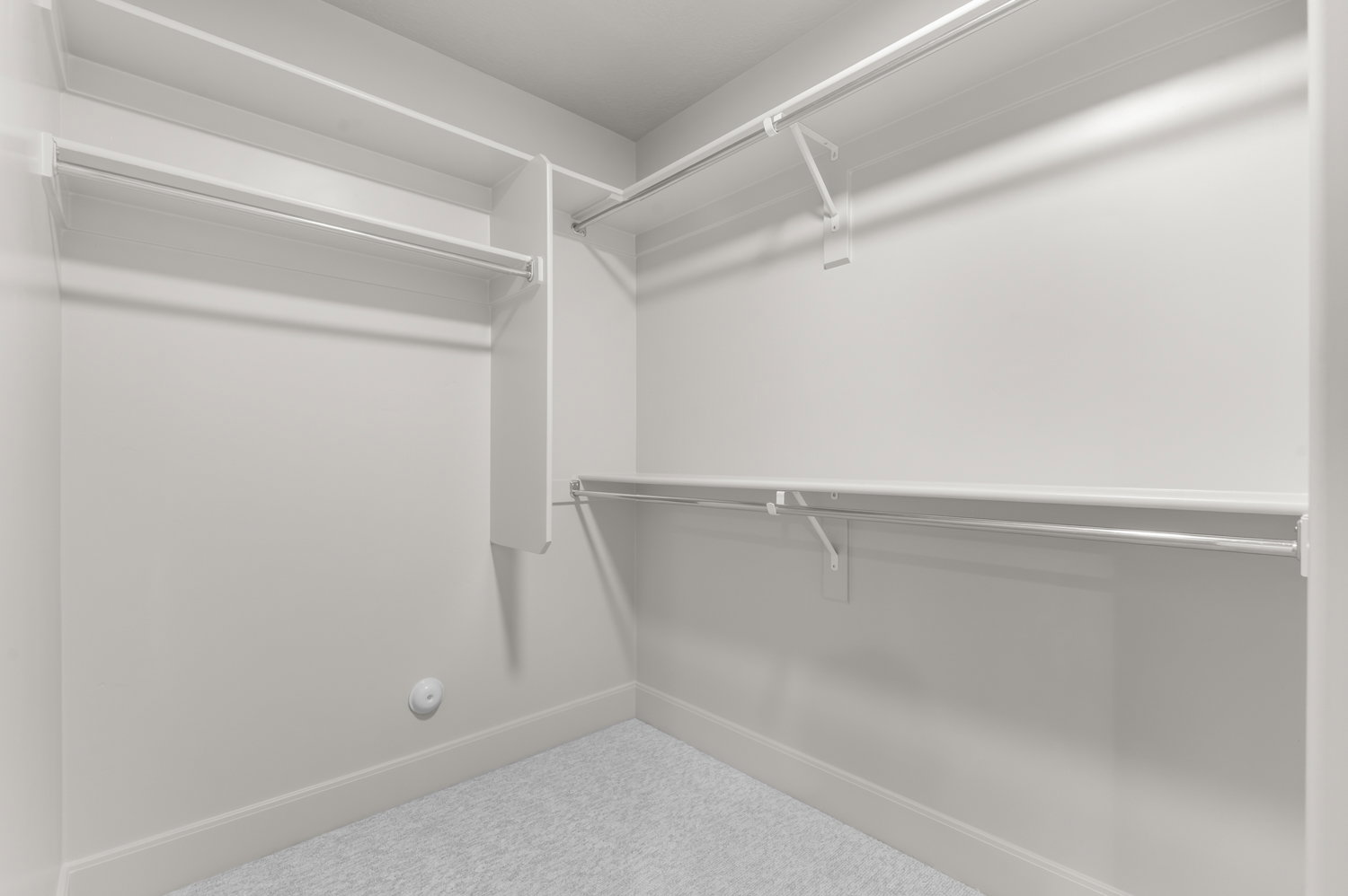 Spacious closet featuring carpet flooring