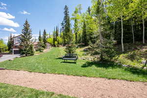 Picnic and horse shoe pit