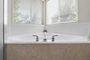 Bathroom featuring plenty of natural light and a bath