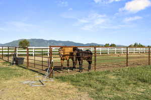 View of yard with a mountain view and a rural view