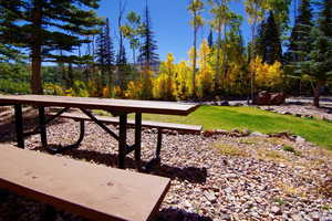 Community picnic area
