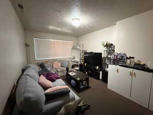 Carpeted living room with a textured ceiling