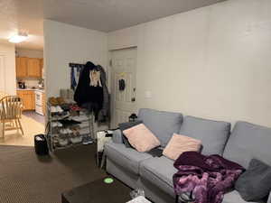 Living area featuring light colored carpet and a textured ceiling