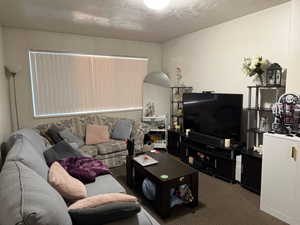 Carpeted living room featuring a textured ceiling