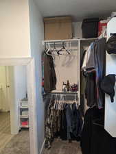 Spacious walk in closet with carpet floors and window