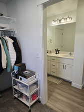 Spacious walk in closet with carpet floors and window