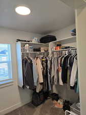 Spacious walk in closet with carpet floors and window