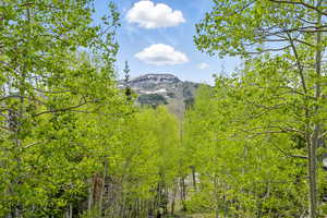 View of Brian Head peak