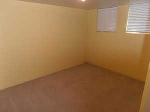 Unfurnished room featuring carpet