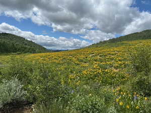 View of mountain backdrop
