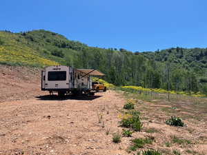 View of yard featuring a view of trees