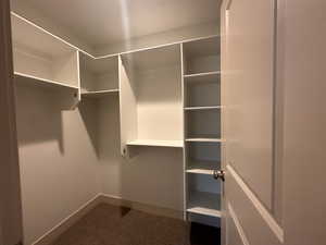 Walk in closet with dark colored carpet