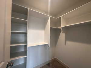 Walk in closet with carpet flooring
