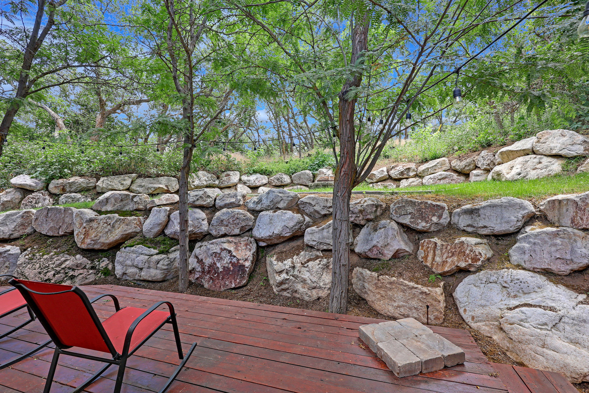 View of secluded back yard