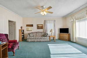 Living room with crown molding, carpet flooring, ceiling fan, and a textured ceiling