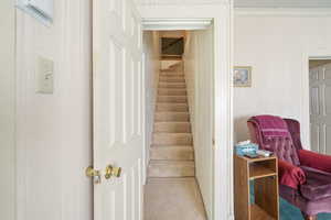 Staircase with carpet flooring, crown molding, and a textured ceiling