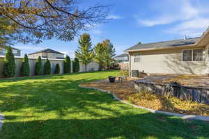 Back yard landscaping