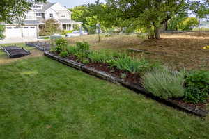 View of yard with a vegetable garden