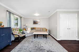 Family room with crown molding and dark wood-type flooring