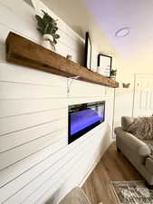 Family Room Electric Fireplace