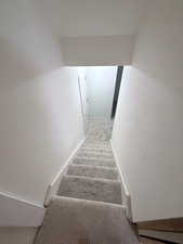 Staircase featuring carpet floors and baseboards