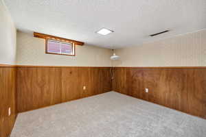Basement featuring wallpapered walls, carpet floors, wood walls, and a wainscoted wall