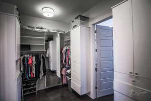 Spacious closet featuring dark wood-style flooring