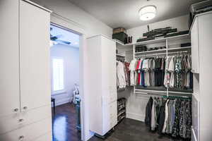 Spacious closet with dark wood-style floors and a ceiling fan