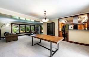 Dining space with light colored carpet, ornamental molding, and rail lighting