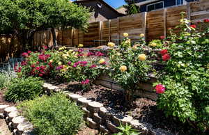 View of fenced backyard