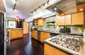 Kitchen with extractor fan, dark wood-style floors, stainless steel appliances, glass insert cabinets, and dark countertops