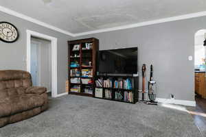 Carpeted living room