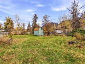 View of yard featuring a shed