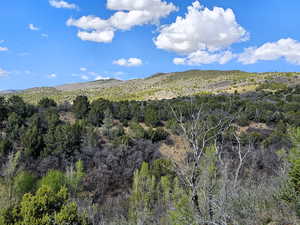Mountain view featuring a heavily wooded area
