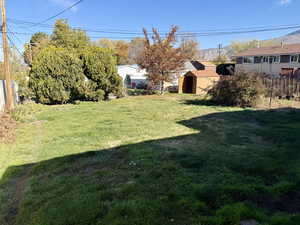 View of yard featuring a shed