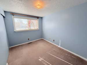 Unfurnished room with carpet flooring and a textured ceiling