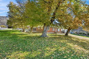 Front of Home with large mature trees on a corner lot.