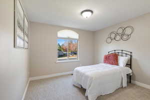 Bedroom featuring baseboards and carpet floors