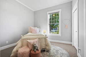 Bedroom featuring carpet flooring and ornamental molding