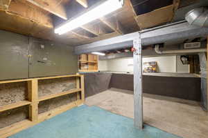 Unfinished basement with carpet floors