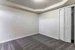 Empty room featuring a textured ceiling, dark colored carpet, and a raised ceiling