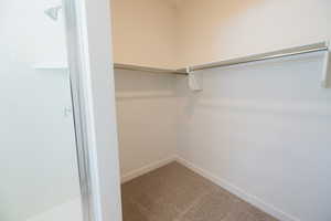 Walk in closet with light colored carpet