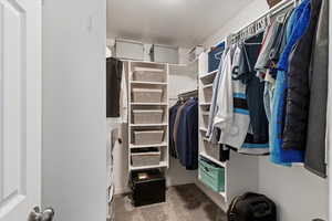 Walk in closet with light colored carpet