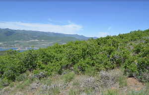 View of mountain background