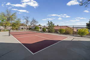 Pickleball Court