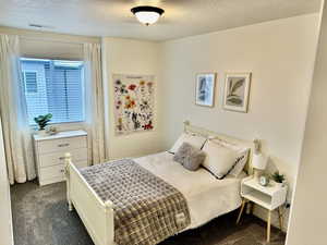 Bedroom with a textured ceiling, dark carpet, and multiple windows